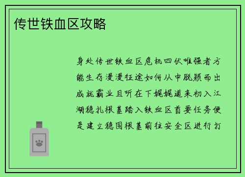 传世铁血区攻略